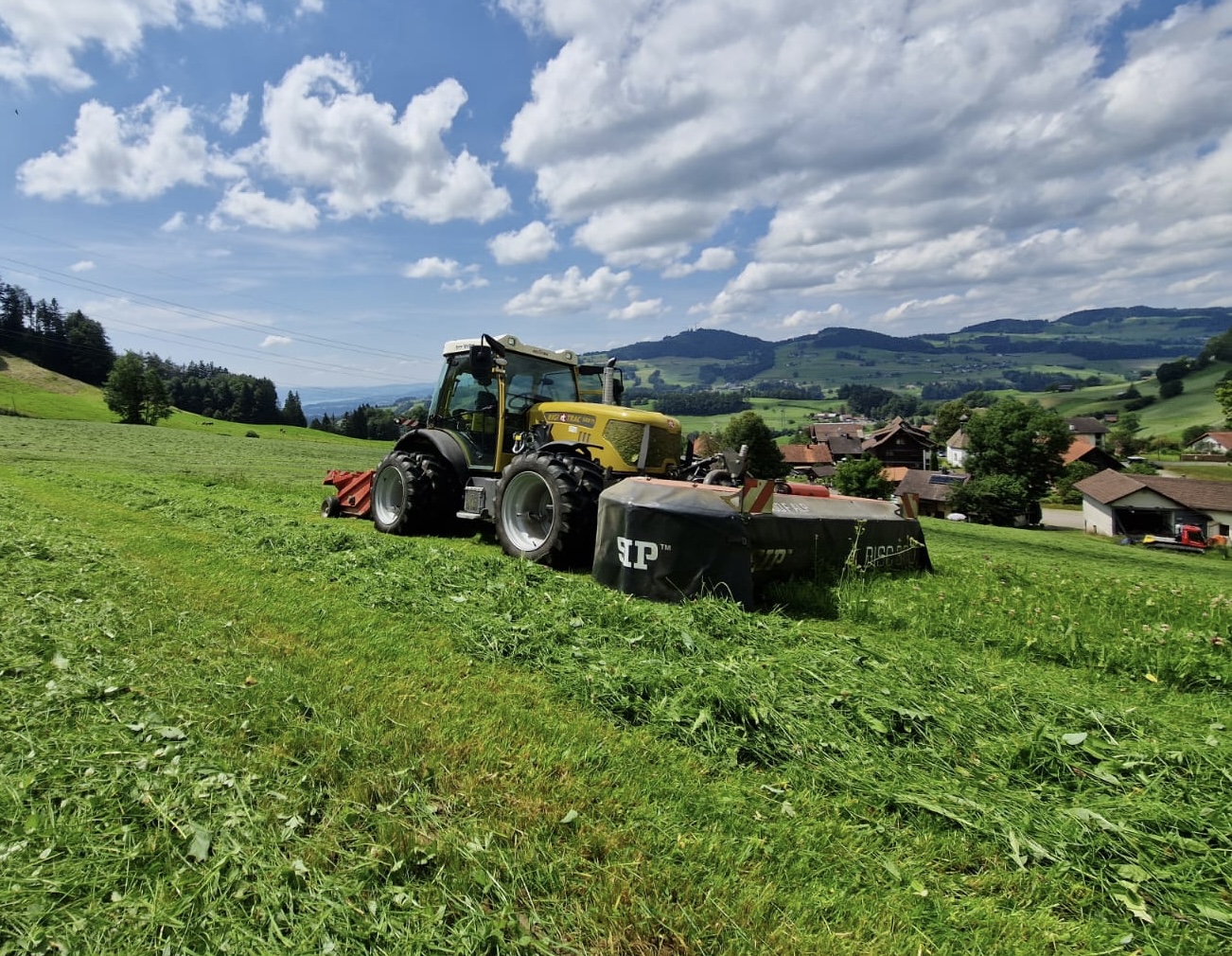 ed5c088d-e8a8-43b6-902f-a34acfbacaf1